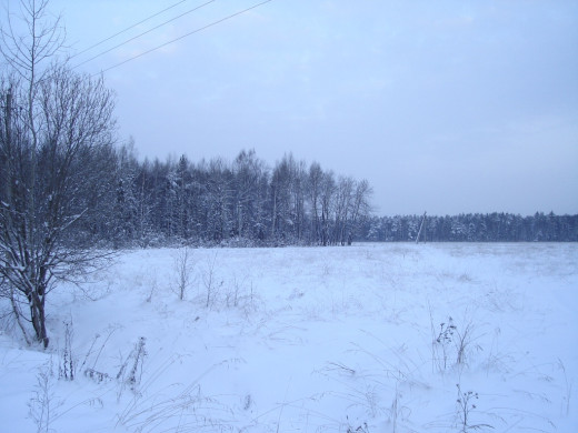 23515 (a): :1024x768